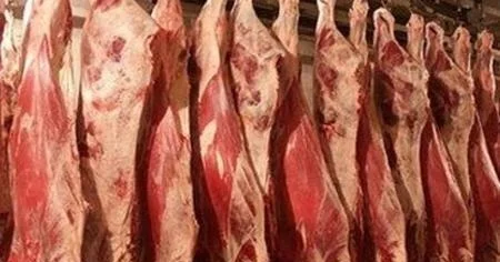 Otlaq bahalaşır, yem bahalaşır, bununla da xərc artır İqtisadçı