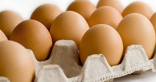 Bu ölkə ilk dəfə olaraq süni yumurta YARATDI
