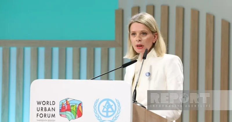 UNCCD: С 2000 года глобальная засуха увеличилась примерно на 33%