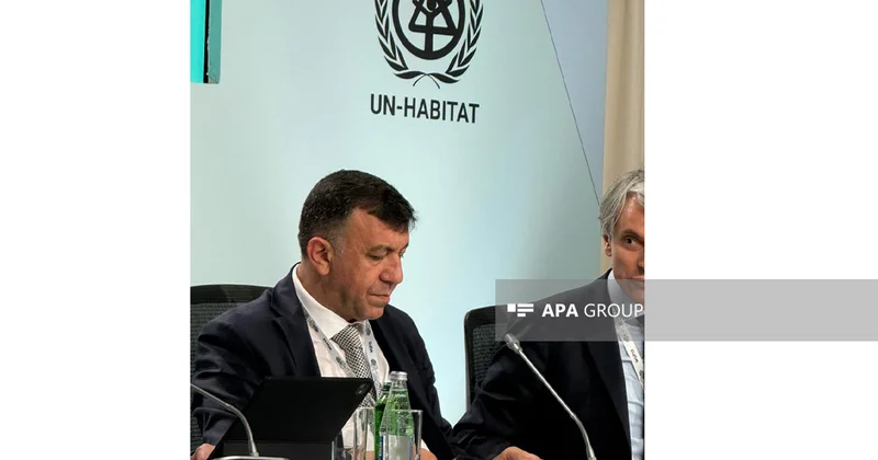 Səməd Bəşirli: Son on ildə Mərkəzi və Qərbi Asiyada şəhər əhalisi 35 45% artıb