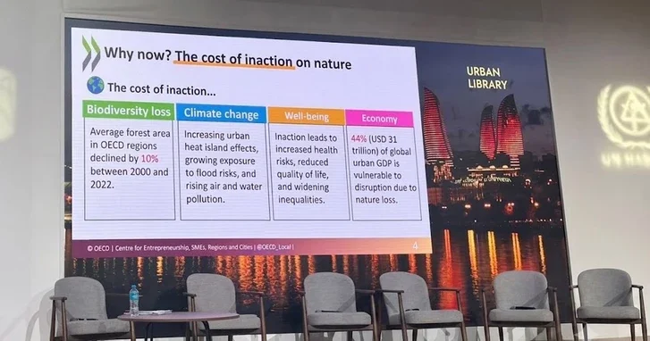 На WUF13 в Баку обсуждают развитие природоориентированных городов