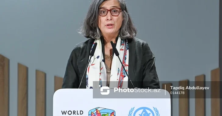 Мы не добиваемся прогресса : глава UN Habitat о глобальном жилищном кризисе на WUF13 в Баку