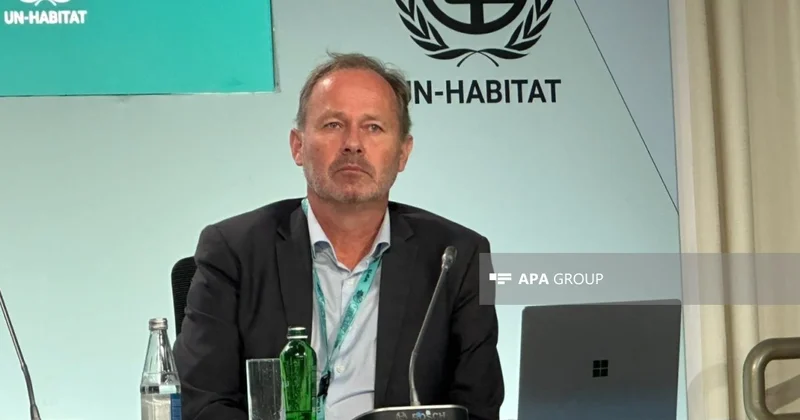Afrika İnkişaf Bankı: İnvestorlar üçün ekoloji və sosial aspekt getdikcə daha vacib hala gəlir