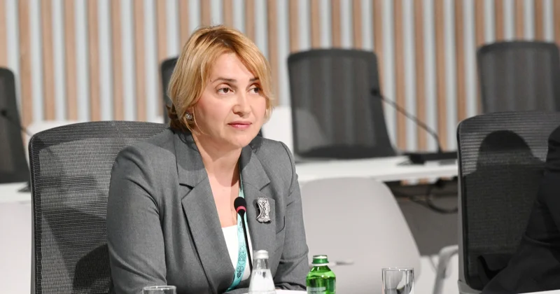 Опыт Азербайджана на WUF13: оценка инвалидности полностью прозрачна и бесконтактна