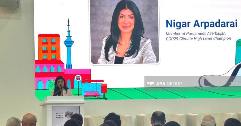 Nigar Arpadarai: Azad edilmiş ərazilərdə bərpa işləri dayanıqlılıq prinsiplərinin tətbiqi üçün imkanlar yaradır