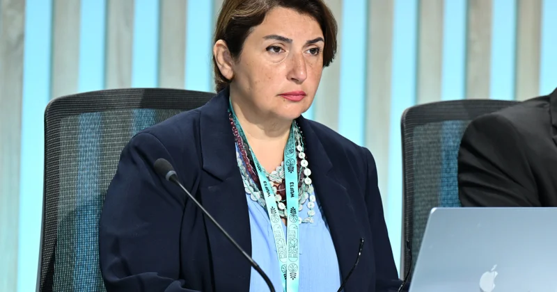 Şəfəq Mehrəliyeva: Qlobal təşəbbüslərin cəmiyyətə çatdırılmasında medianın peşəkarlığı xüsusi əhəmiyyət daşıyır
