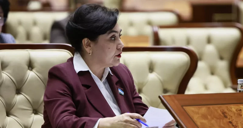Сенат Узбекистана утвердил пакет льгот для креативного сектора экономики страны