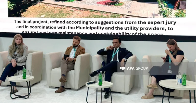 Haris Piplas: OECD ilə fəlakət risklərinə, böhranlara necə cavab verməyi araşdırırıq