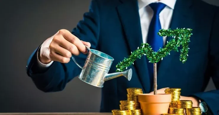 Kiçik məbləği hara investisiya etmək olar? Qızıl, kriptovalyuya ya bank səhmi...