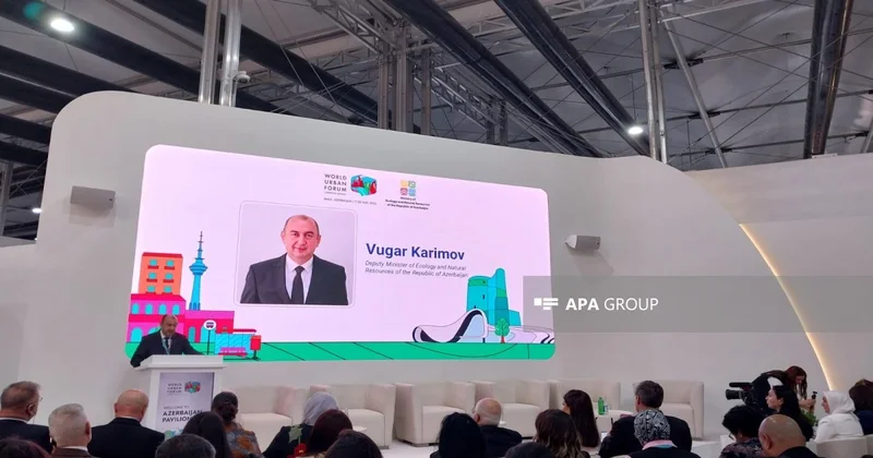 Nazir müavini: Azərbaycanda plastik qabların istifadəsi 5 dəfə artıb