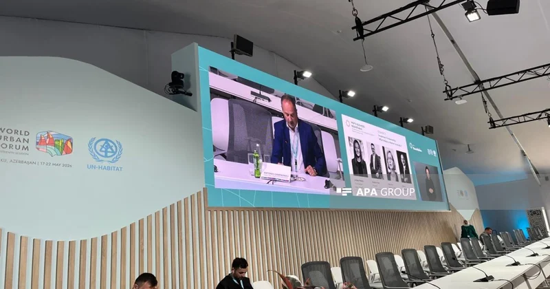 İtaliyalı ekspert: Mənzil böhranı dövlət özəl tərəfdaşlığı ilə həll oluna bilməz
