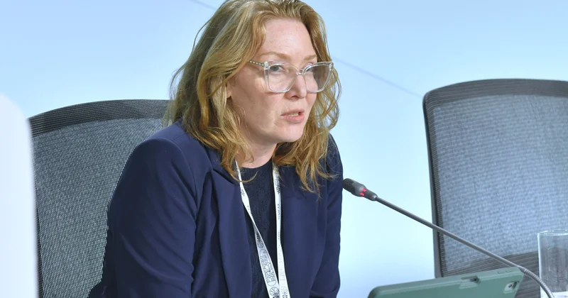 BMT nin daha böyük rol oynaya biləcəyi sahə institusional çərçivə və ümumi ekosistemdir