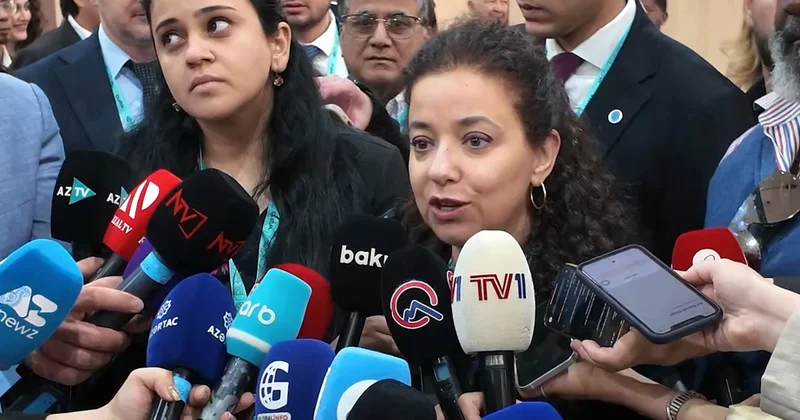 Дима аль Хатиб: Управление ООН по сотрудничеству Юг Юг будет тесно взаимодействовать с Платформой НПО Глобального Юга