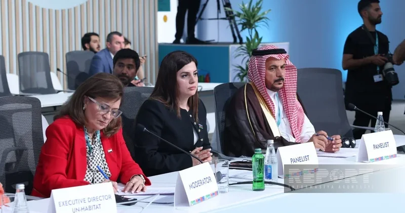 Парвана Велиева призвала расширить межпарламентское сотрудничество на WUF13