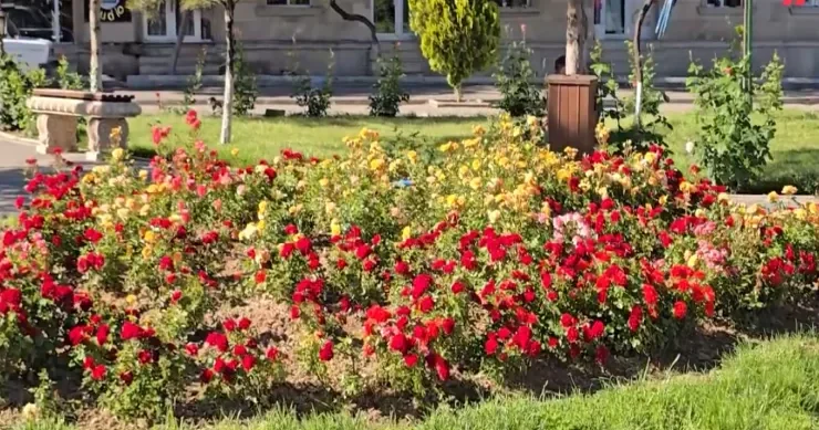 Bahar libaslı Naxçıvan VİDEO
