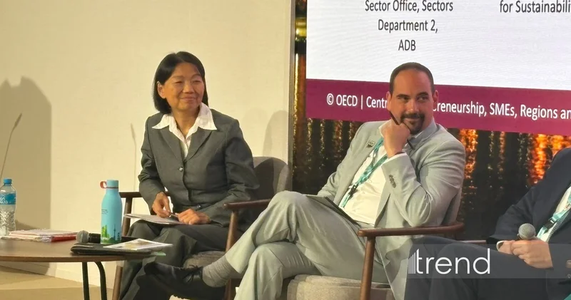 В Европе природа воспринимается как базовая городская инфраструктура Local Governments for Sustainability