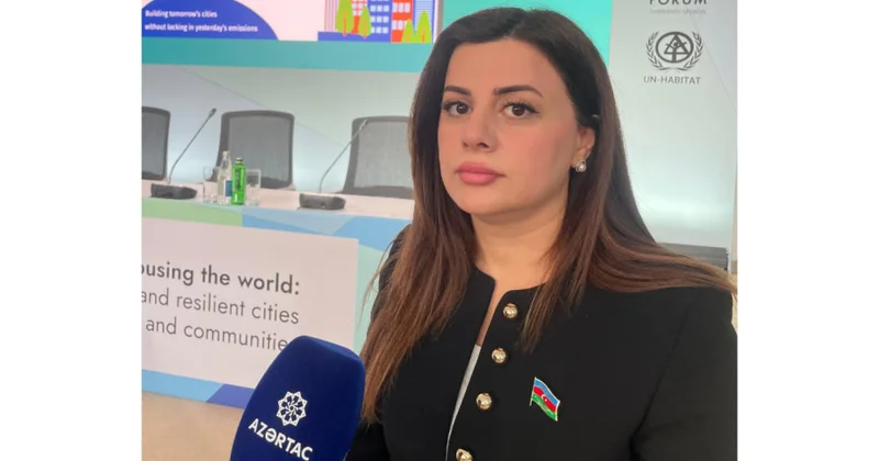Deputat: Azərbaycanda karbonsuzlaşma ilə əlaqədar qanunvericilik sahəsində işlər aparılır
