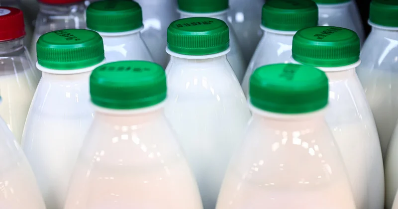 Kefir və qatıq: Bağırsaq sağlamlığı üçün hansı daha yaxşıdır?
