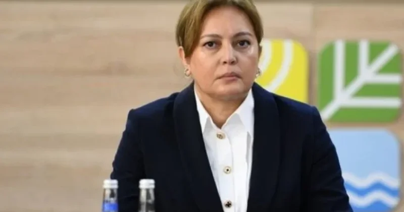Bakıda ağacların uçotu sistemi tətbiq edilib Umayra Tağıyeva