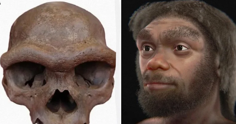 Arxeoloqlar əjdaha adam kəlləsinin sirrini nəhayət açdı