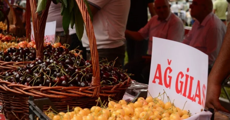 Azərbaycanda keçiriləcək Məhsul Festivallarının detalları açıqlanıb