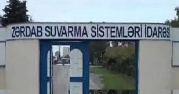 Meşəni kəsənlər də məlumdur, susanlar da: Bəs dövlət haradadır? İLGİNC GƏLİŞMƏ...