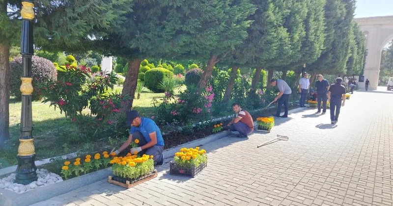Gülə çiçəyə bürünən Goranboy