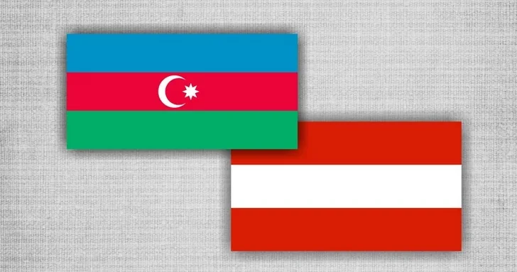 Азербайджан и Австрия провели очередной раунд политических консультаций