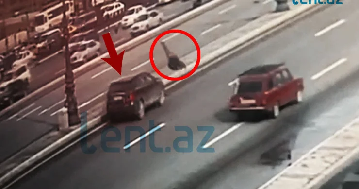 Bu sürücülərə cinayət işi açılmamalıdır Hüquqşünas özünü ölümə atan piyadalardan DANIŞDI
