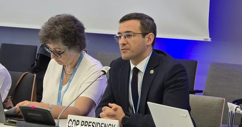 Представитель президента COP29 в Бонне рассказал о мерах реагирования на изменение климата