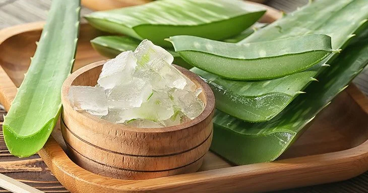 Aloe veranın gözəllik və sağlamlığa faydaları