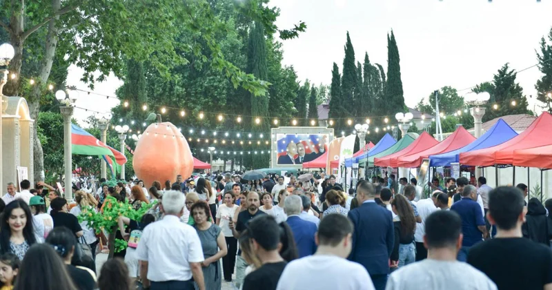 Bölgələrdə Məhsul festivallarına start verilir