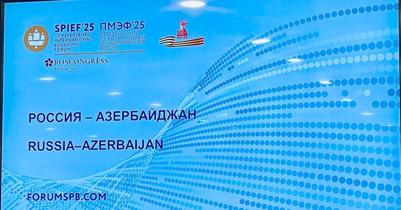 Россия инвестировала в производство вина Агдам