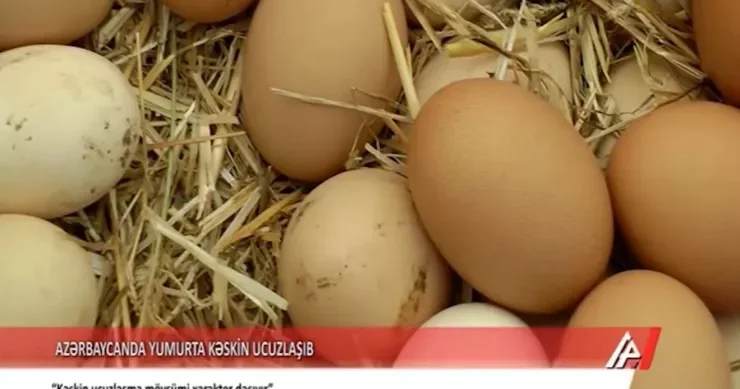 Bir qəpiyə yumurta sabah olacaq APA TV ucuzlaşmanın səbəblərini ARAŞDIRDI