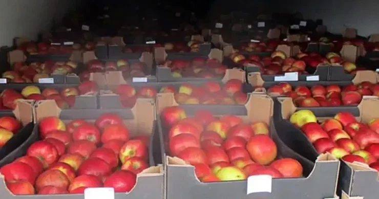 Biznesmen 18 milyonluq alma oğurladı