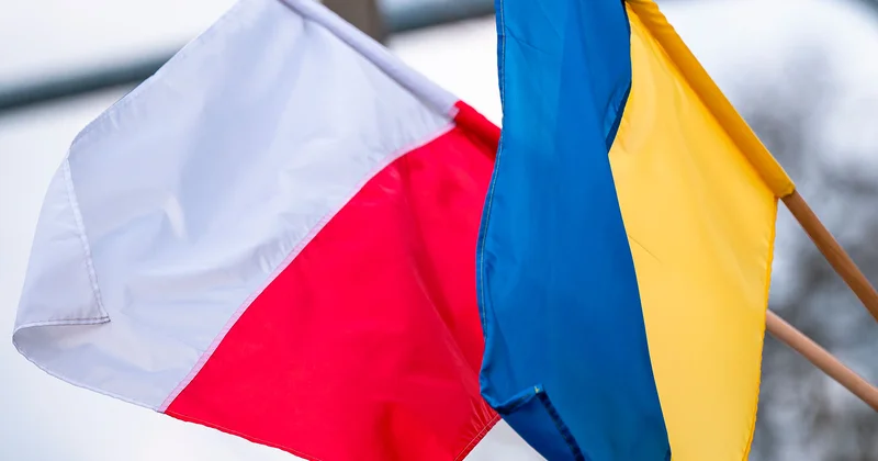 Соцопрос: Негативное отношение поляков к украинцам выросло более чем в 2 раза Minval Politika