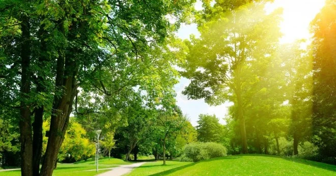 Sabah Bakıda 40°, rayonlarda 41° isti olacaq KONKRET