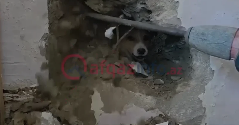 Sakinlər onun xilası üçün nazirliyə zəng etdilər Video