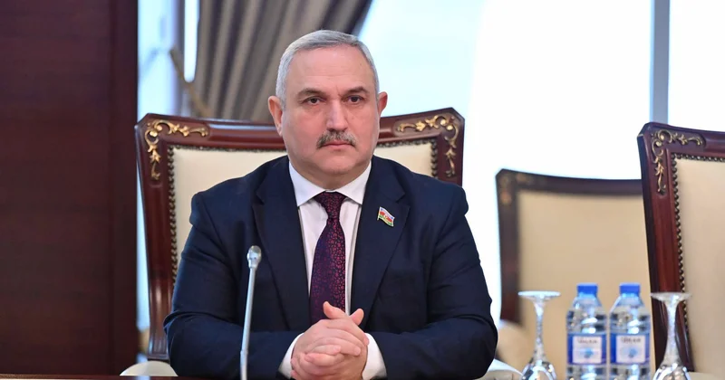 “Xarici siyasət milli maraqlara xidmət edir”