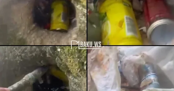 Hirkan Milli Parkında xoşagəlməz görüntülər