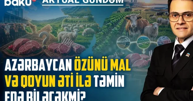 Ət bazarında yeni qaydalar: Fermer, istehlakçı və qiymətlər necə dəyişəcək?