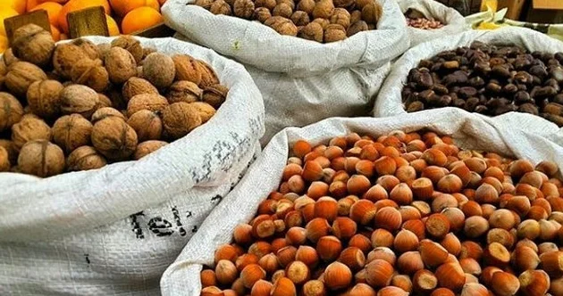 Sərt qabıqlı meyvə... Tərkibi vitamin, zülal və amin turşuları ilə zəngin fındığın insan sağlamlığına hansı faydaları var? Video