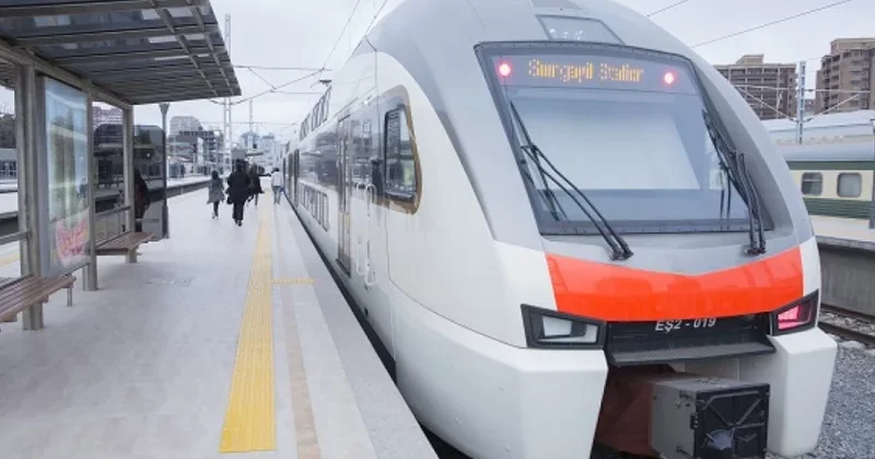 Qatarlar təsərrüfat heyvanları ilə 27 dəfə toqquşub