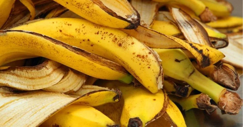 Banan qabıqlarını atmayın Faydaları
