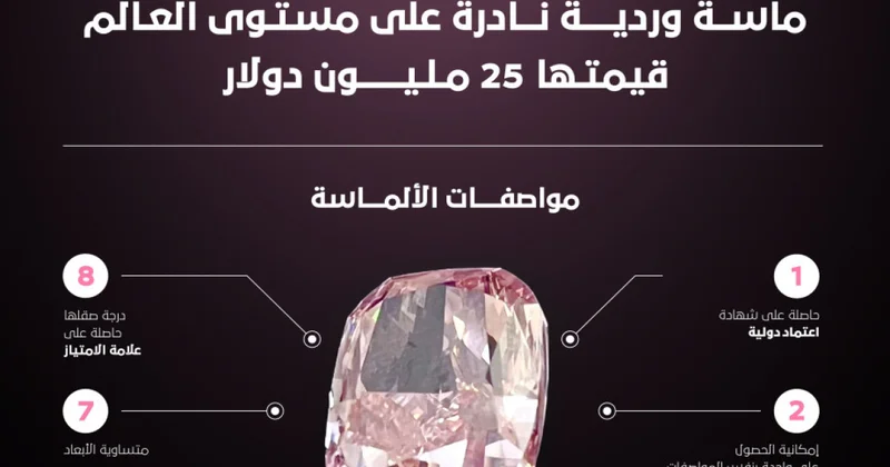 Nadir çəhrayı almazın oğurlanmasının qarşısı alındı