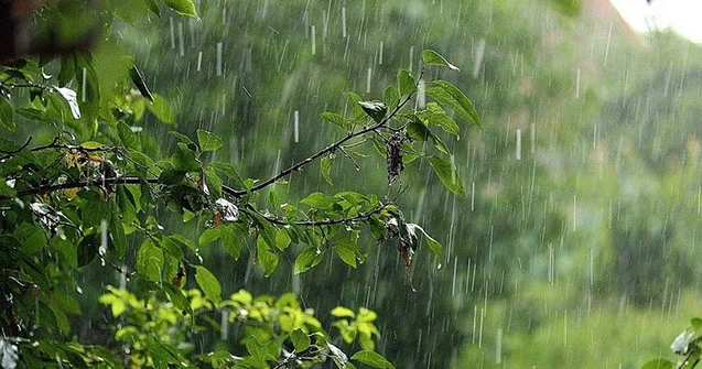 Yağıntılar davam edəcək, temperatur aşağı düşəcək KONKRET