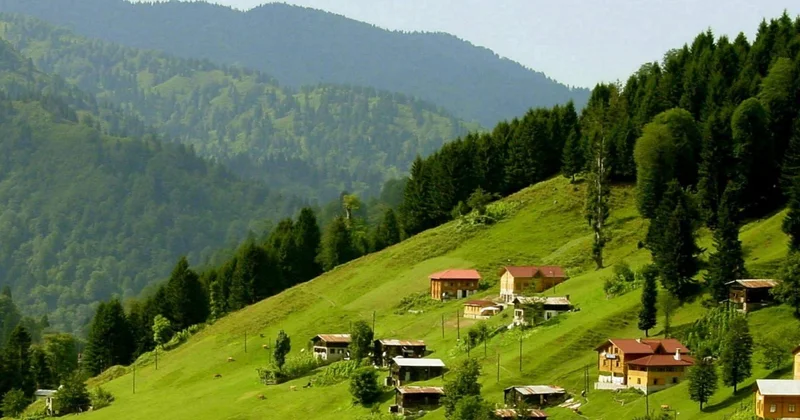 Azərbaycanda 3 yeni turizm və rekreasiya zonası yaradılacaq