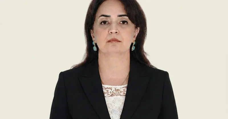 Musiqi seçimi imkanları genişləndikcə insanın zövqü dəyişə bilərmi? sosioloq