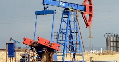 Portuqaliyaya ixrac olunan neftin həcmi açıqlandı