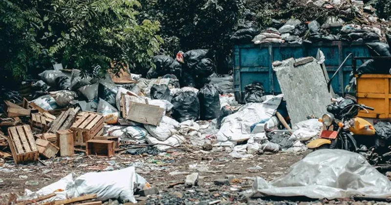 В Гяндже на полигоне отходов обнаружен разложившийся человеческий плод